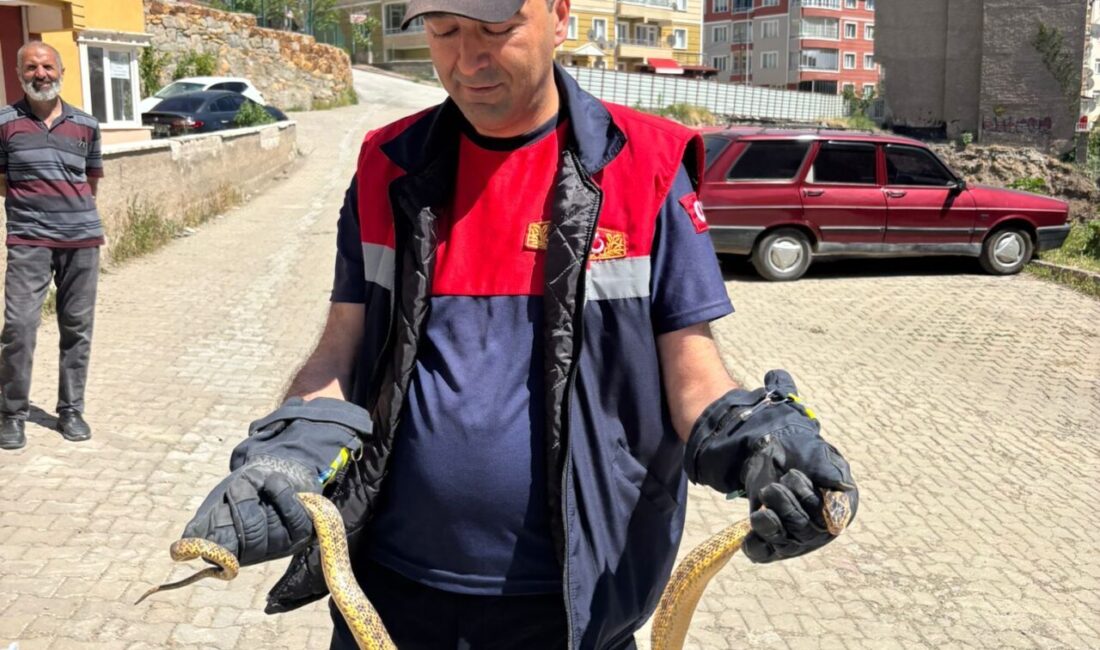 YOZGAT (AA) – Yozgat'ta park halindeki otomobilin motor kısmına giren