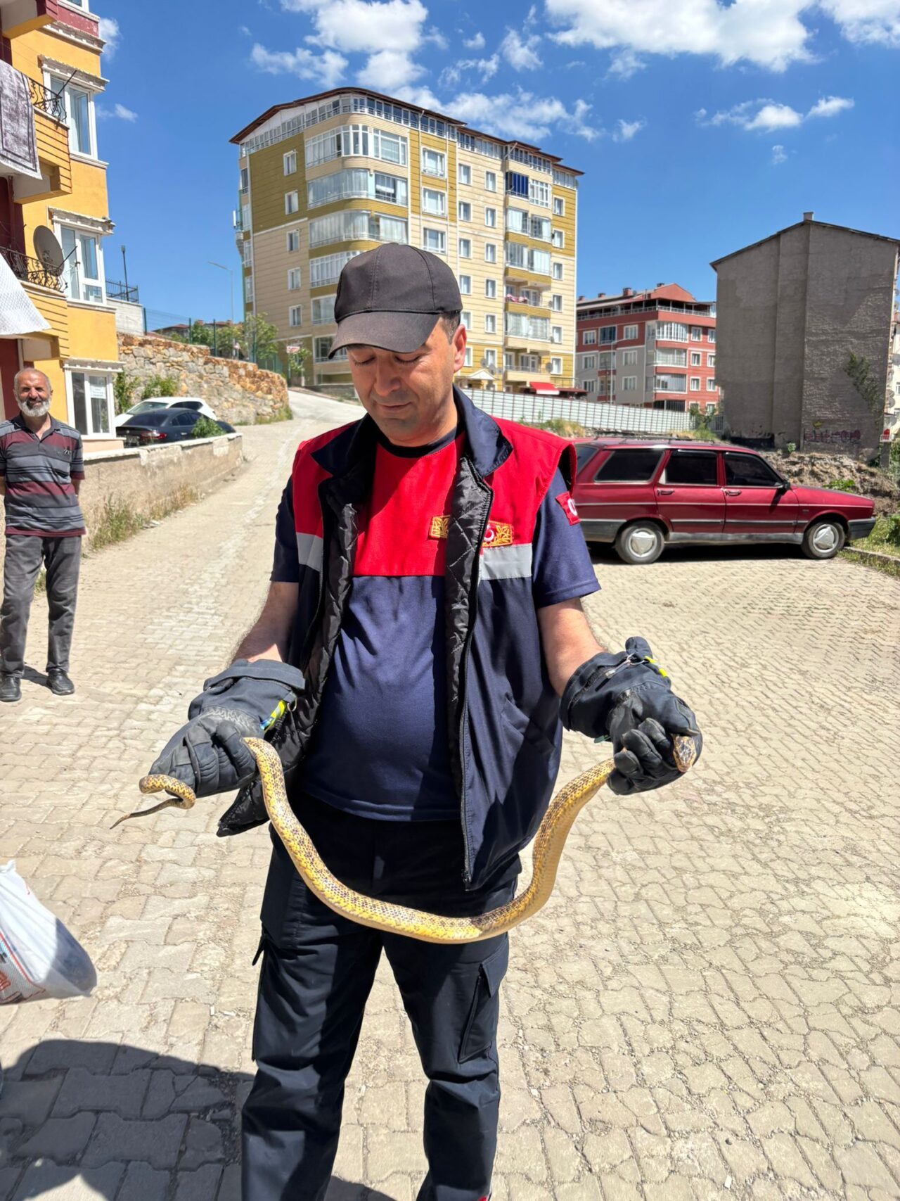 YOZGAT (AA) – Yozgat'ta park halindeki otomobilin motor kısmına giren