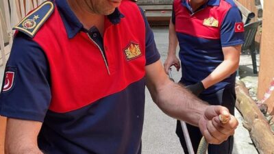 ZONGULDAK (AA) – Zonguldak'ın Alaplı ilçesinde, Aile Sağlığı Merkezi binasına