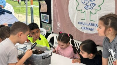 - TÜRÇEV koordinasyonunda yürütülen Uluslararası Okullarda Orman Programı, 49 ilde