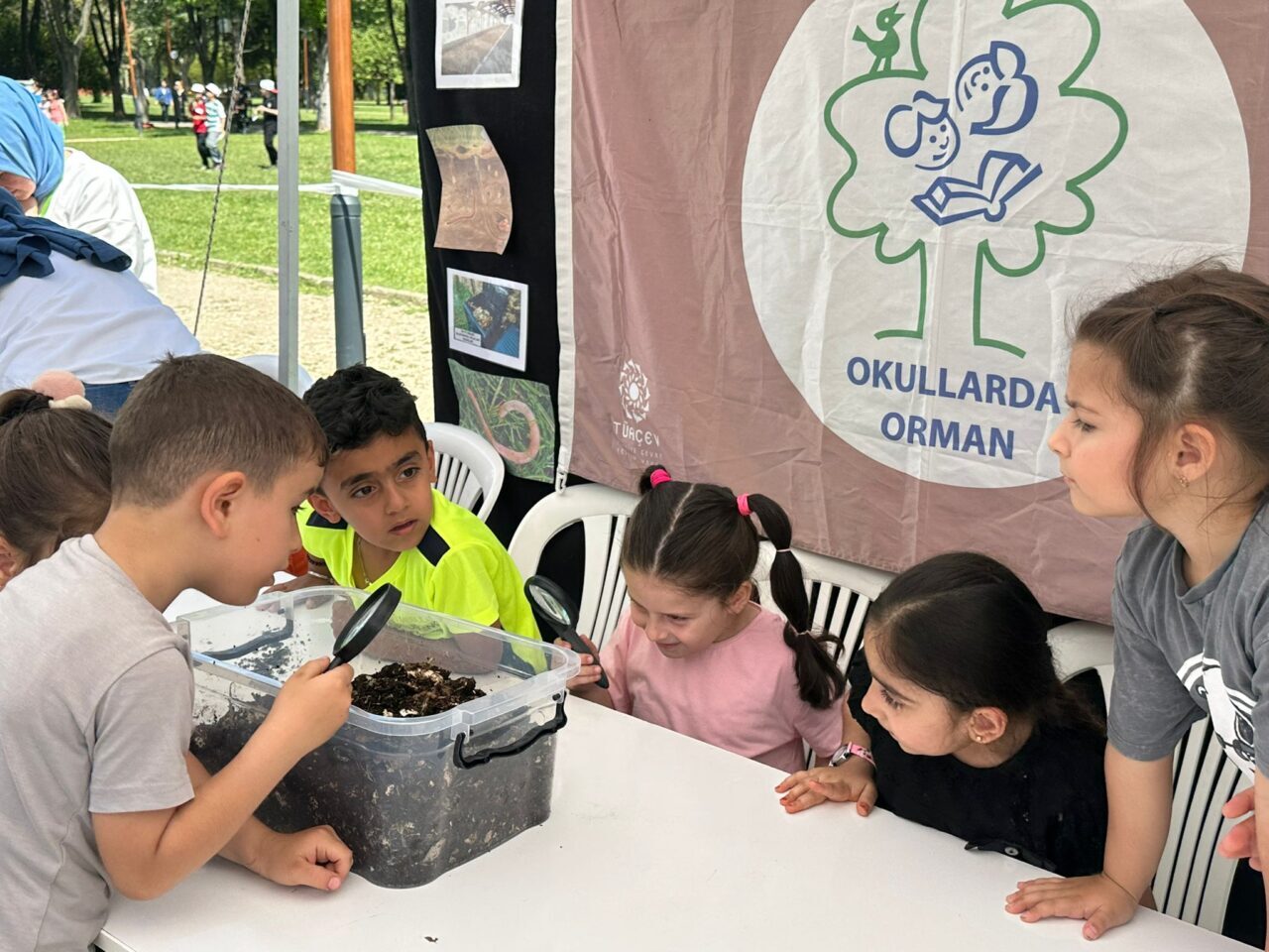 - TÜRÇEV koordinasyonunda yürütülen Uluslararası Okullarda Orman Programı, 49 ilde