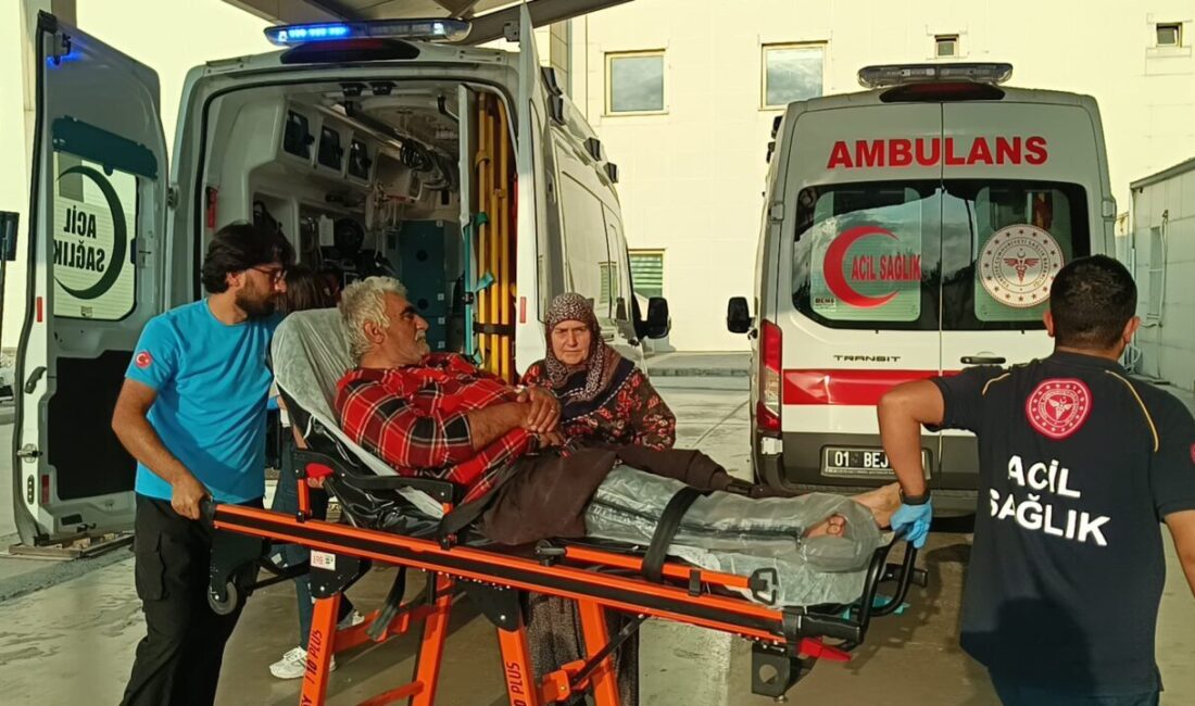 ADANA (AA) – Adana'nın Kozan ilçesinde kayalıklarda düşerek yaralanan kişi,