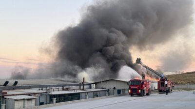 AFYONKARAHİSAR (AA) – Afyonkarahisar'ın Şuhut ilçesinde bir fabrikada çıkan yangın