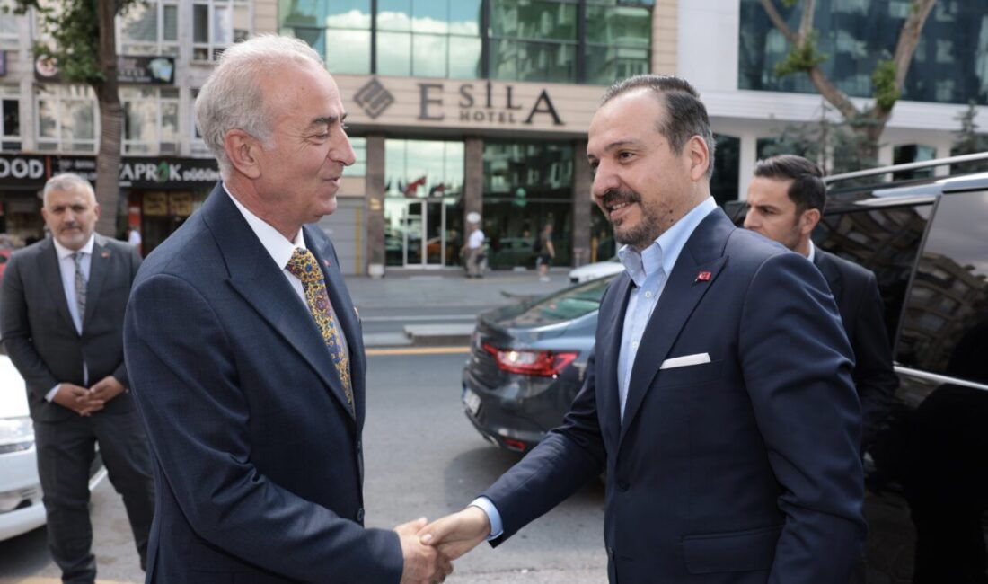 ANKARA (AA) – AK Parti Genel Başkan Yardımcısı ve Türk