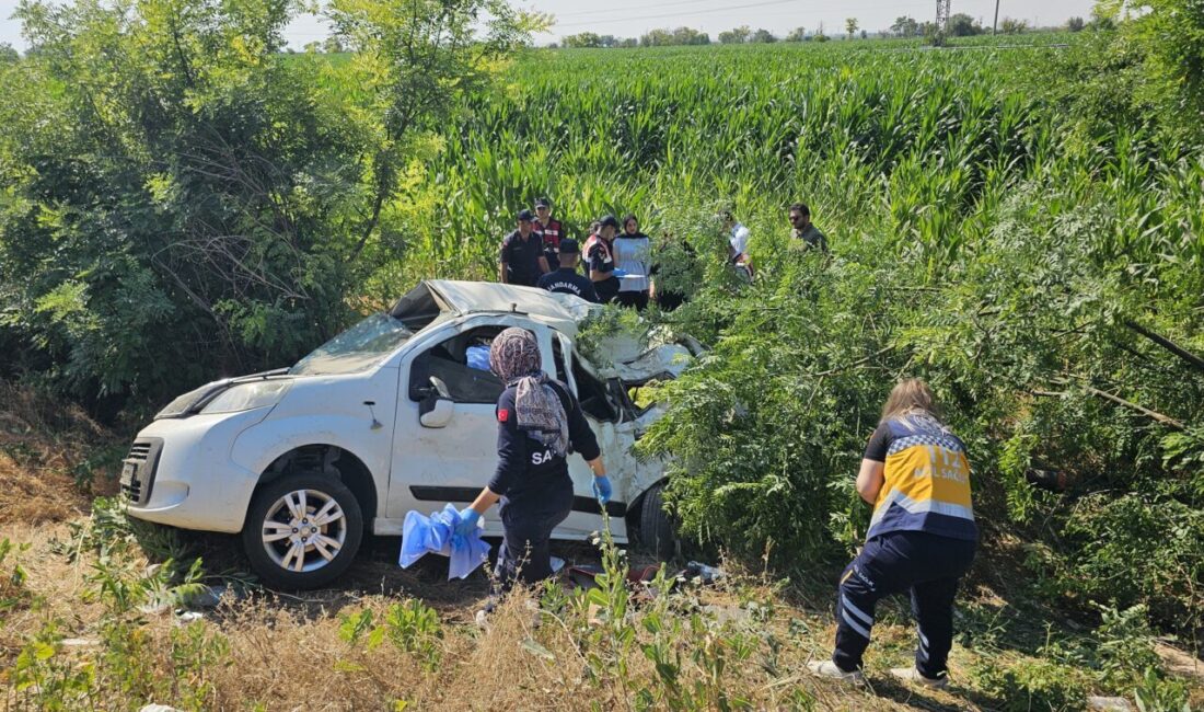 AKSARAY (AA) – Aksaray'da hafif ticari aracın şarampole devrilmesi sonucu