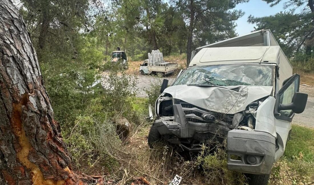ANTALYA (AA) – Antalya'nın Alanya ilçesinde ağaca çarpan kamyonetin sürücüsü