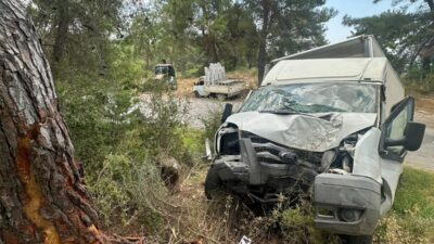 ANTALYA (AA) – Antalya'nın Alanya ilçesinde ağaca çarpan kamyonetin sürücüsü