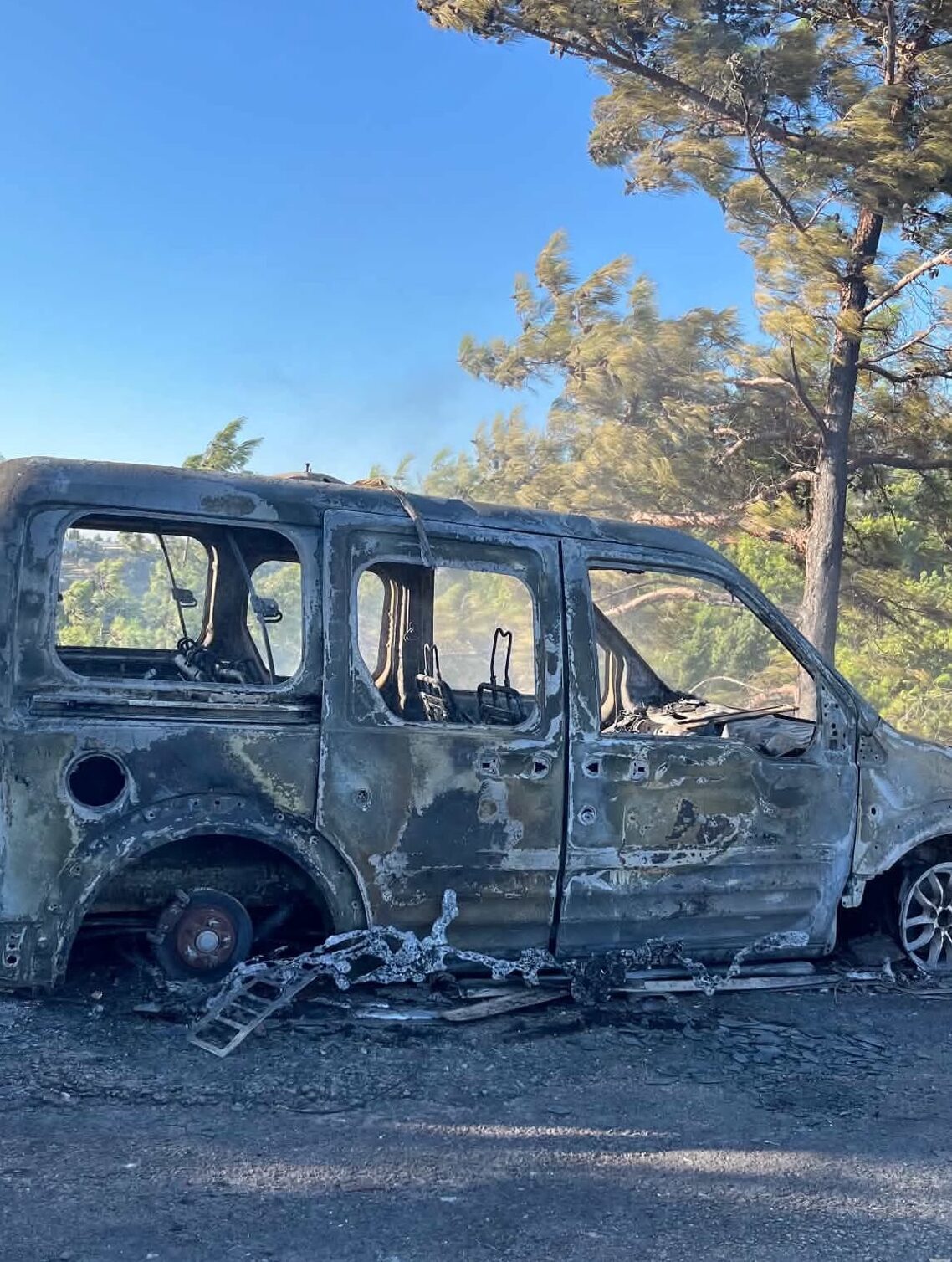 ANTALYA (AA) – Antalya'nın Alanya ilçesinde çalılık alanda çıkan ve