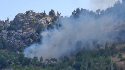 ANTALYA (AA) – Antalya'nın Alanya ilçesinde zirai alanda çıkan yangın