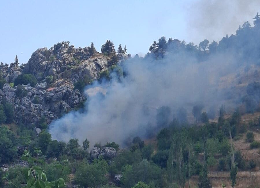 ANTALYA (AA) – Antalya'nın Alanya ilçesinde zirai alanda çıkan yangın