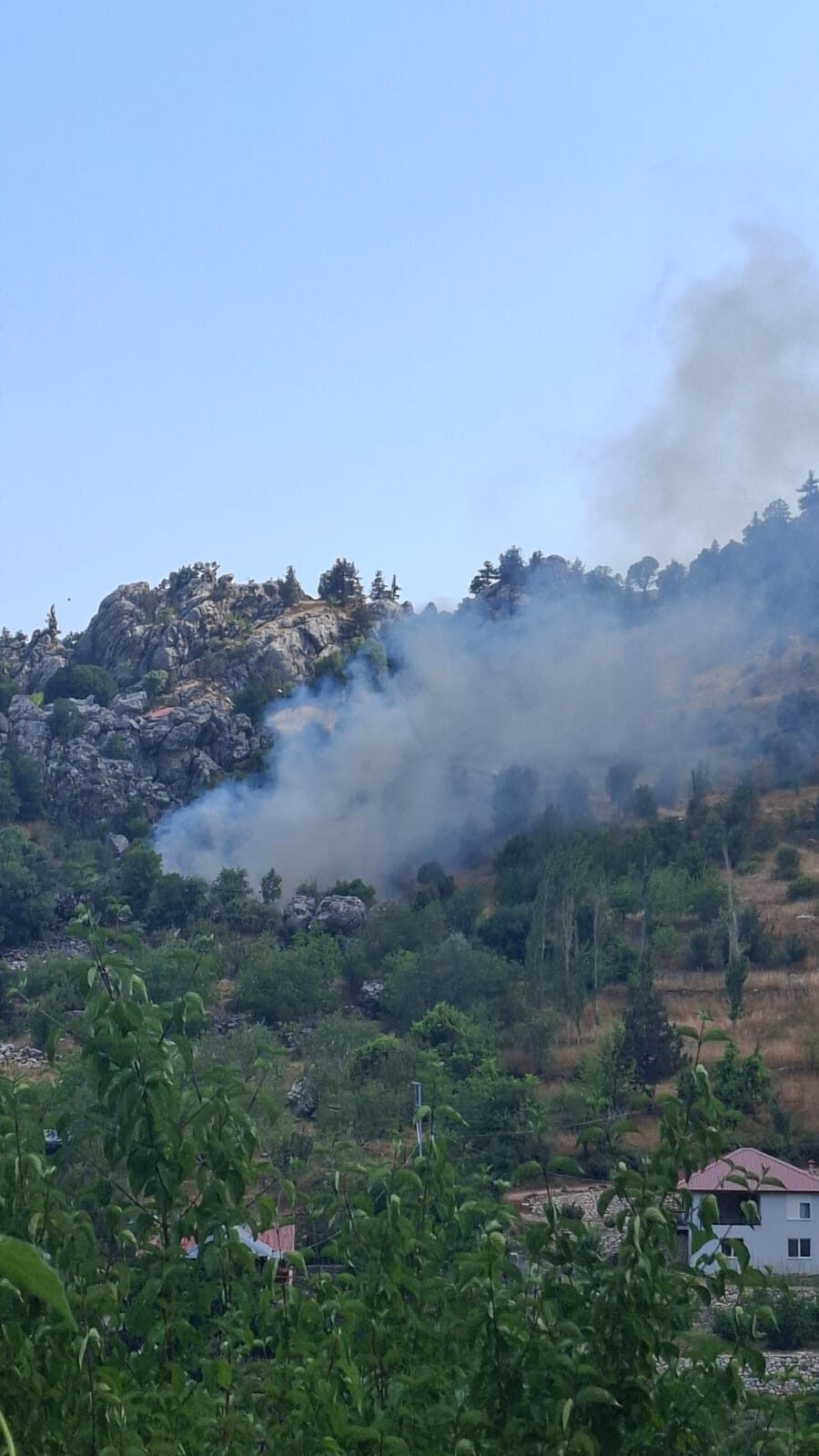 ANTALYA (AA) – Antalya'nın Alanya ilçesinde zirai alanda çıkan yangın