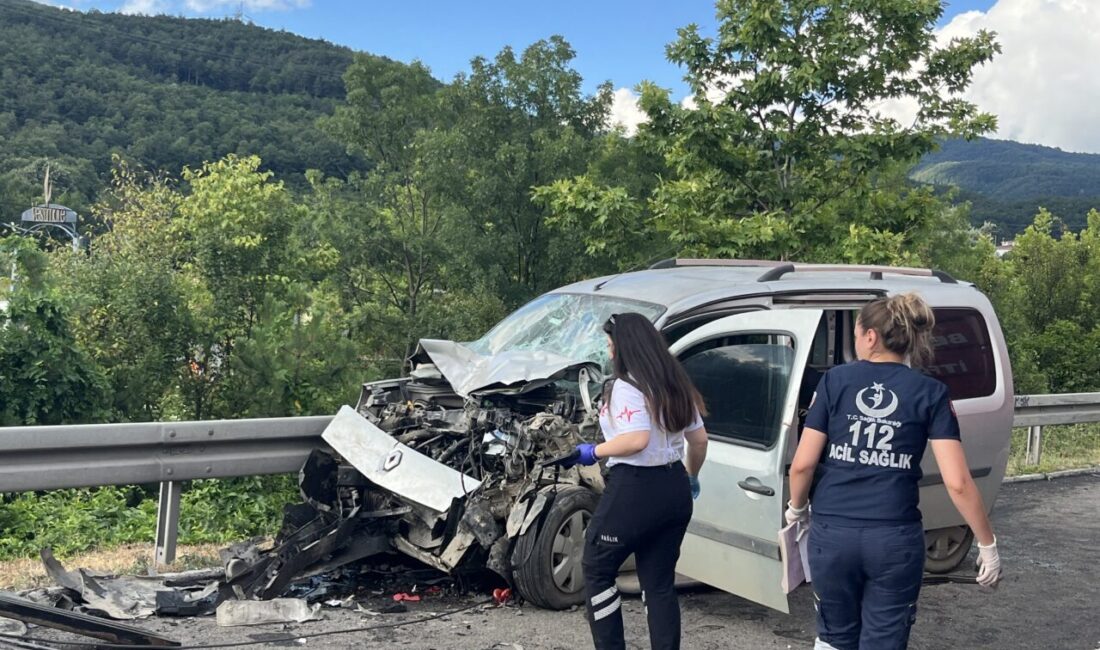 DÜZCE (AA) – Anadolu Otoyolu'nun Düzce kesiminde emniyet şeridinde meydana