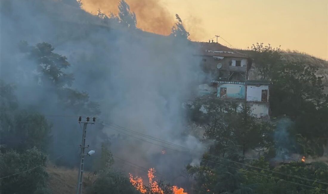 ANKARA (AA) – Ankara'nın Mamak ilçesinde otluk alanda çıkan yangın