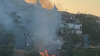 ANKARA (AA) – Ankara'nın Mamak ilçesinde otluk alanda çıkan yangın