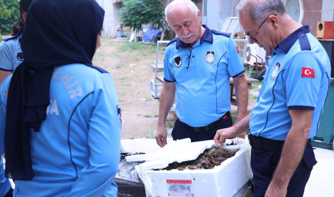 ANTALYA (AA) – Antalya'da şehirlerarası otobüs terminalinde uygunsuz ve sağlıksız