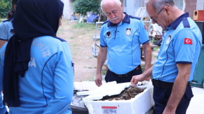 ANTALYA (AA) – Antalya'da şehirlerarası otobüs terminalinde uygunsuz ve sağlıksız