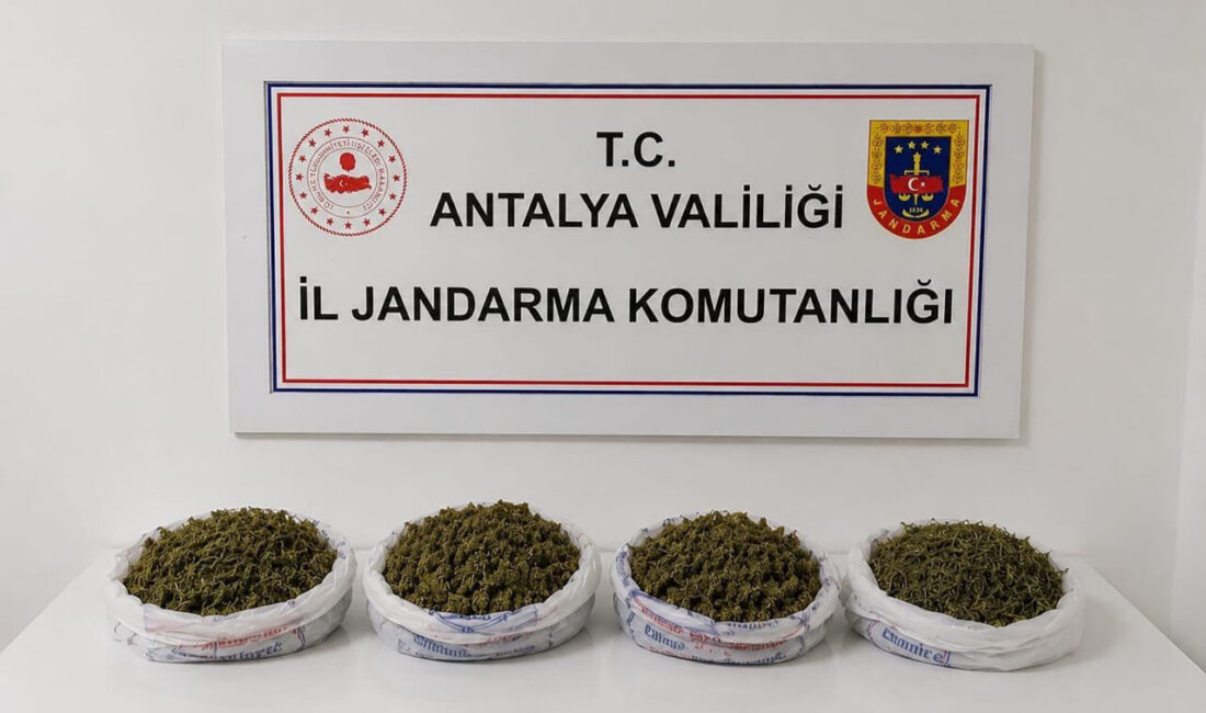 ANTALYA (AA) – Antalya'nın Alanya ilçesinde düzenlenen uyuşturucu operasyonunda, 1
