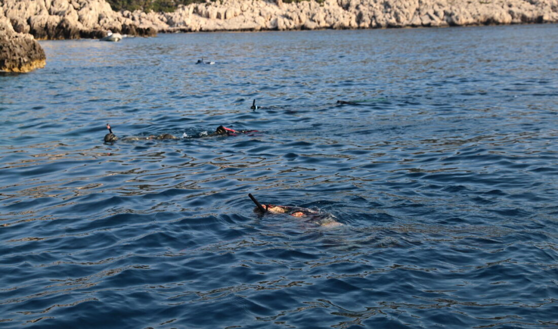 ANTALYA (AA) – Antalya Büyükşehir Belediyesince, istilacı türlerle mücadele, sürdürülebilir