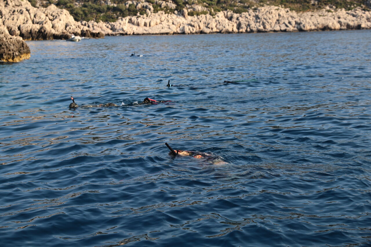 ANTALYA (AA) – Antalya Büyükşehir Belediyesince, istilacı türlerle mücadele, sürdürülebilir