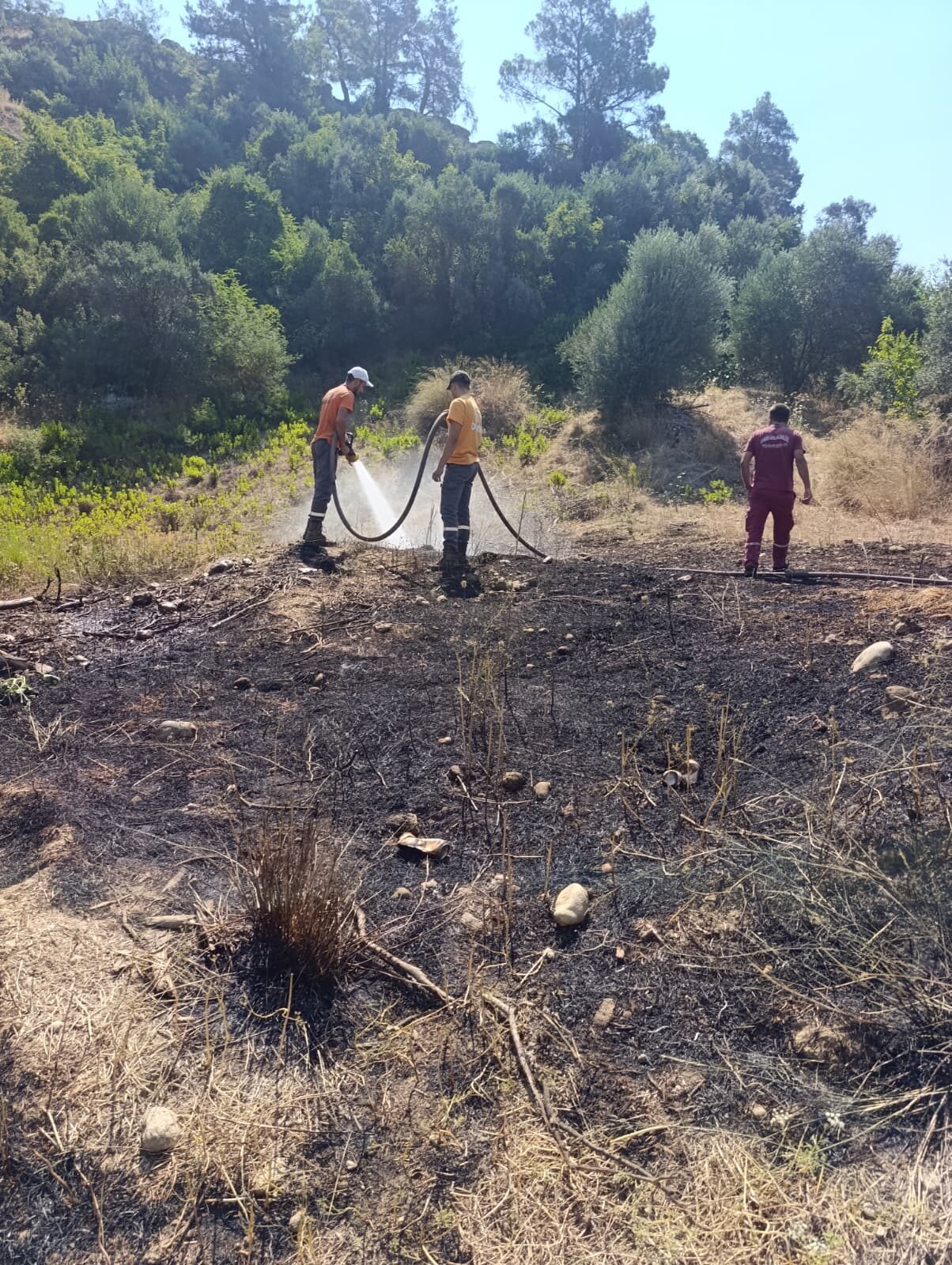 ANTALYA (AA) – Antalya'nın Serik ilçesinde çıkan orman yangını, ekiplerin