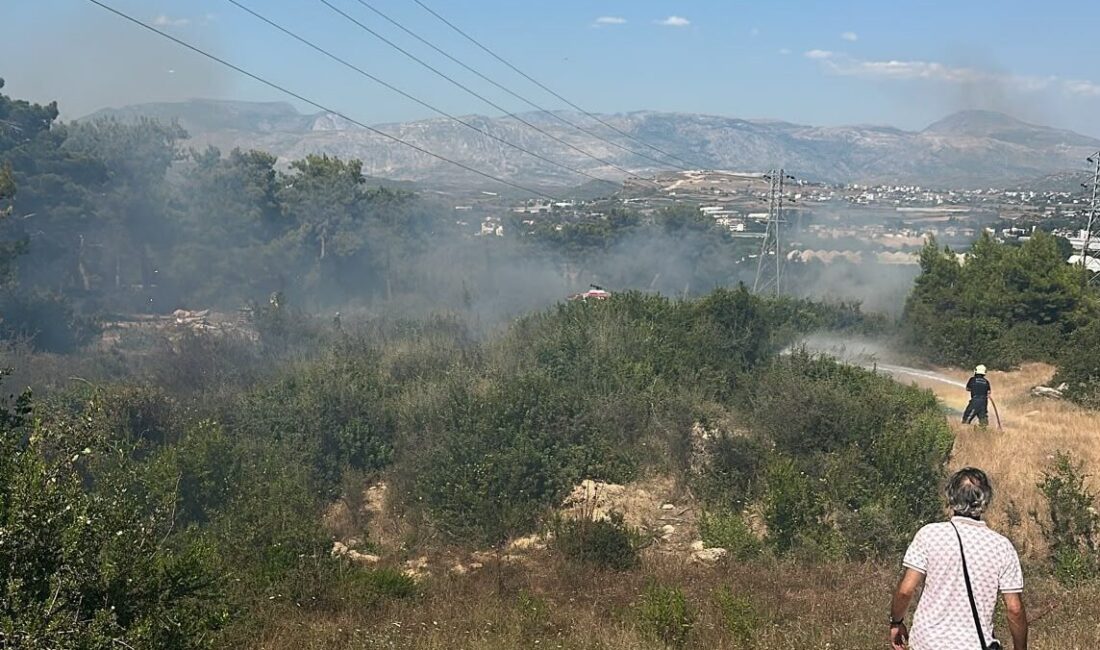 ANTALYA (AA) – Antalya'nın Manavgat ilçesinde çıkan orman yangınında yaklaşık
