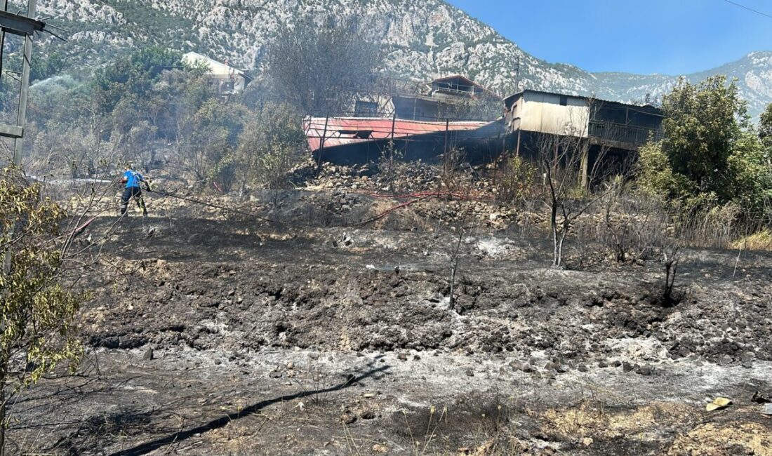 ANTALYA (AA) – Antalya'nın Akseki ilçesinde evde çıkarak ormanlık alana