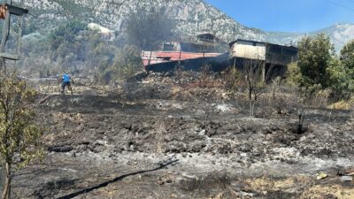 ANTALYA (AA) – Antalya'nın Akseki ilçesinde evde çıkarak ormanlık alana