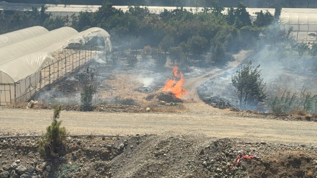 ANTALYA (AA) – Antalya'nın Gazipaşa ilçesinde iki ayrı sera alanı