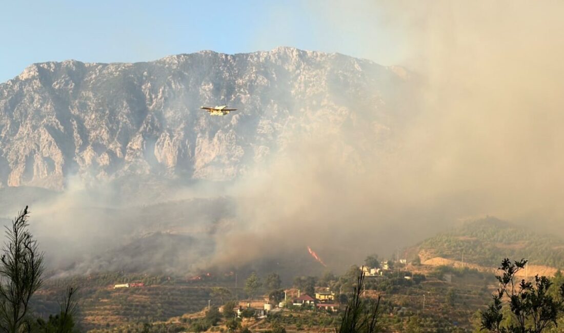 ANTALYA (AA) – Antalya'nın Alanya ilçesinde ormanlık alanda çıkan yangına