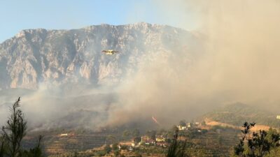 ANTALYA (AA) – Antalya'nın Alanya ilçesinde ormanlık alanda çıkan yangına