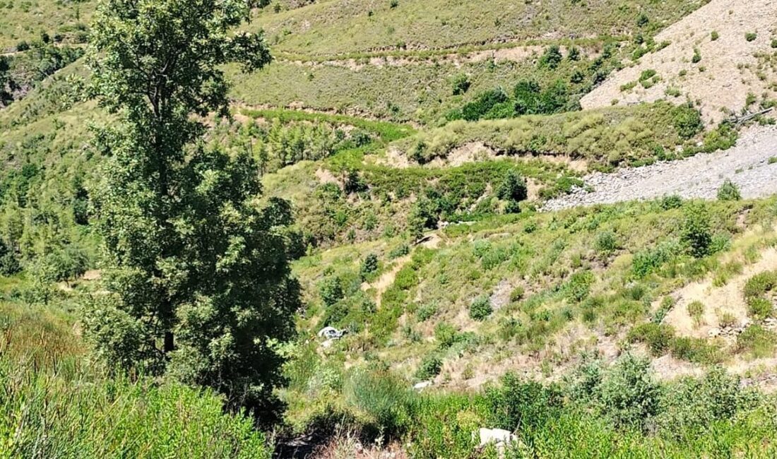 ANTALYA (AA) – Antalya'nın Manavgat ilçesinde uçuruma yuvarlanan otomobildeki 5