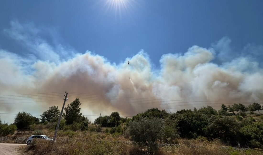 ANTALYA (AA) – Antalya'nın Kumluca ilçesinde ormanlık alanda çıkan yangına