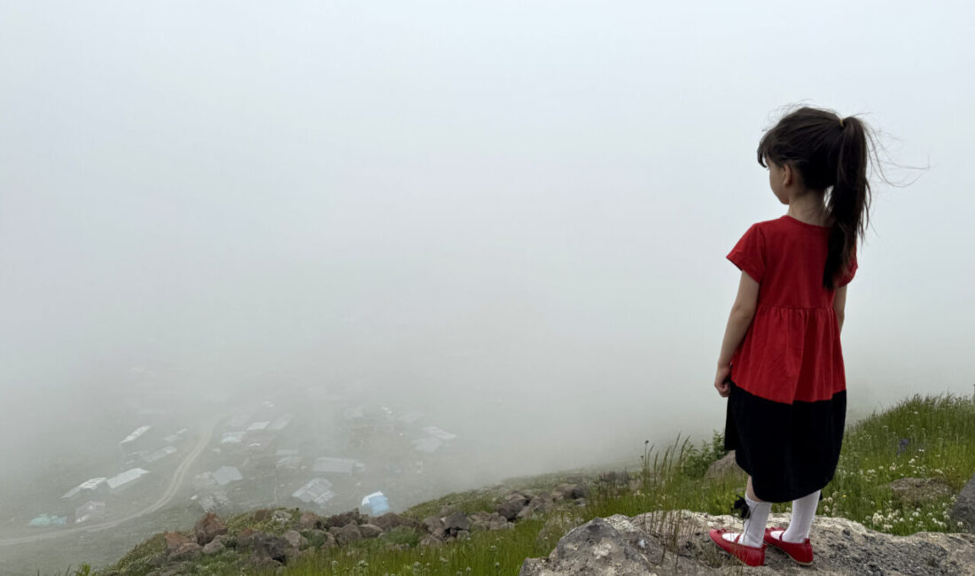 ARDAHAN (AA) – Ardahan ve Artvin'in yüksek kesimlerinde yoğun sis