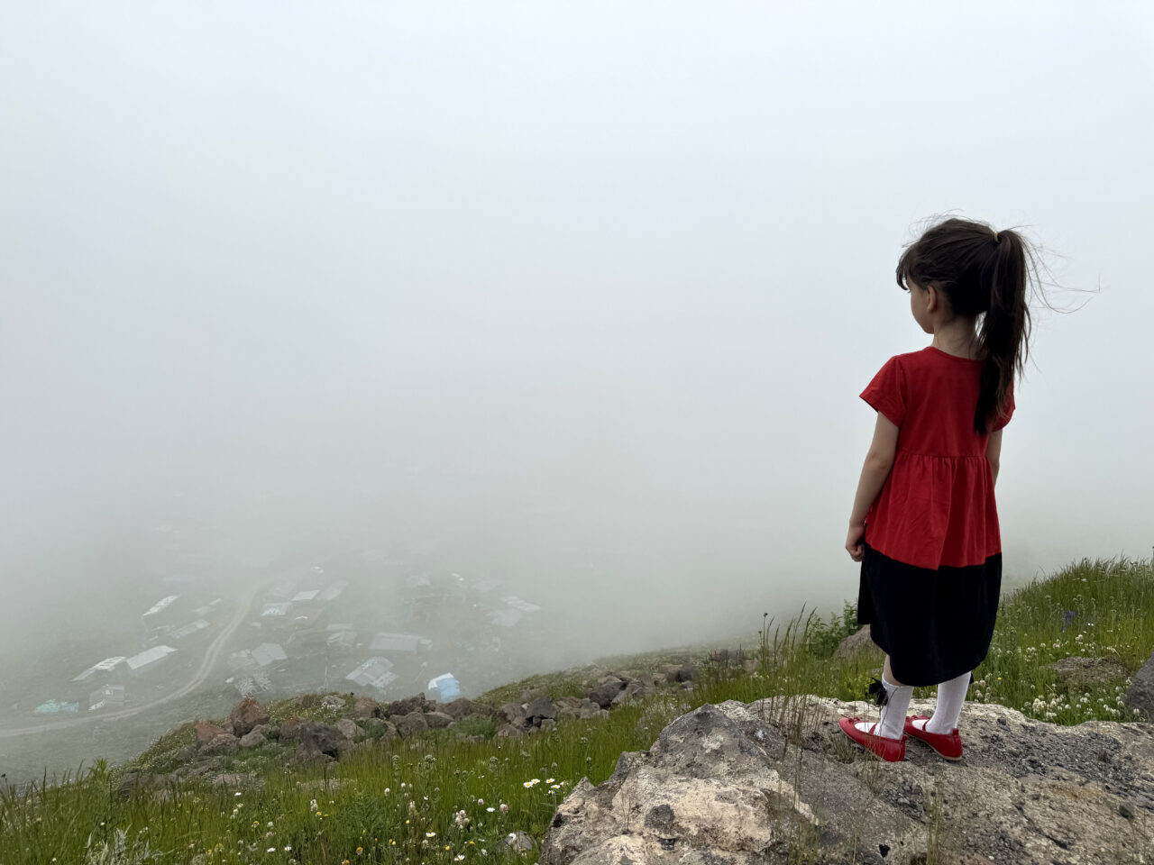 ARDAHAN (AA) – Ardahan ve Artvin'in yüksek kesimlerinde yoğun sis