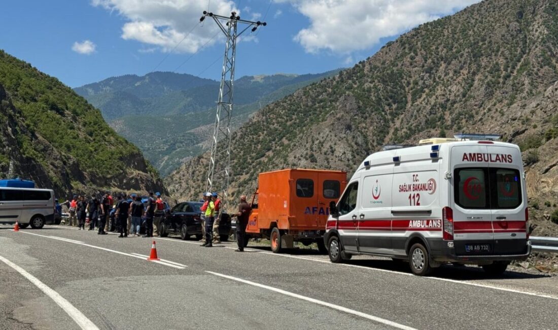 ARTVİN (AA) – Artvin'in Şavşat ilçesinde, kamyonun dereye devrildiği kazada
