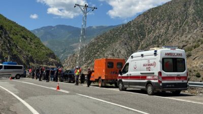 ARTVİN (AA) – Artvin'in Şavşat ilçesinde, kamyonun dereye devrildiği kazada