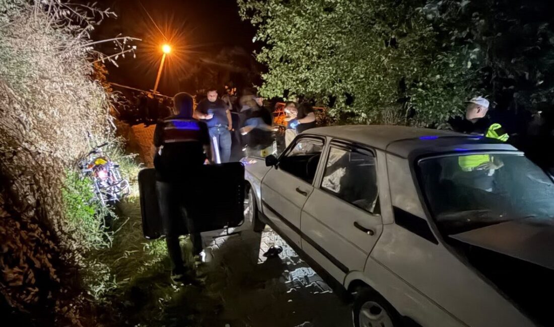 AYDIN (AA) – Aydın'ın Bozdoğan ilçesinde amcasının kullandığı otomobille çarpışan