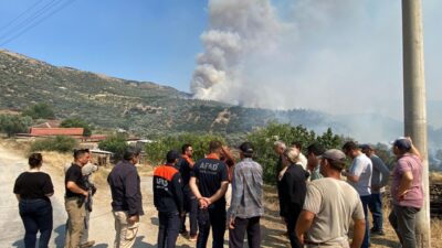 AYDIN (AA) – Aydın'ın Bozdoğan ilçesinde zeytinlik ve otluk alanda