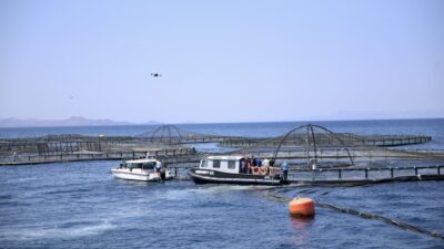 - "Türkiye 2025 yılında 100 ülkeye yaptığı su ürünleri ihracatıyla