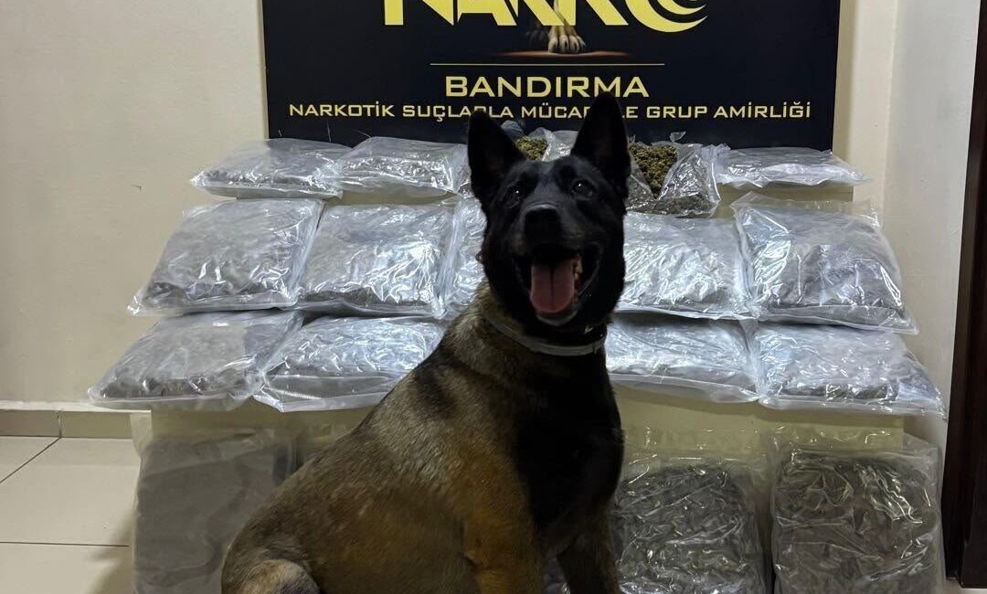 BALIKESİR (AA) – Balıkesir'in Bandırma ilçesinde bir kamyonette gübre çuvallarının