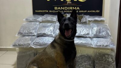 BALIKESİR (AA) – Balıkesir'in Bandırma ilçesinde bir kamyonette gübre çuvallarının