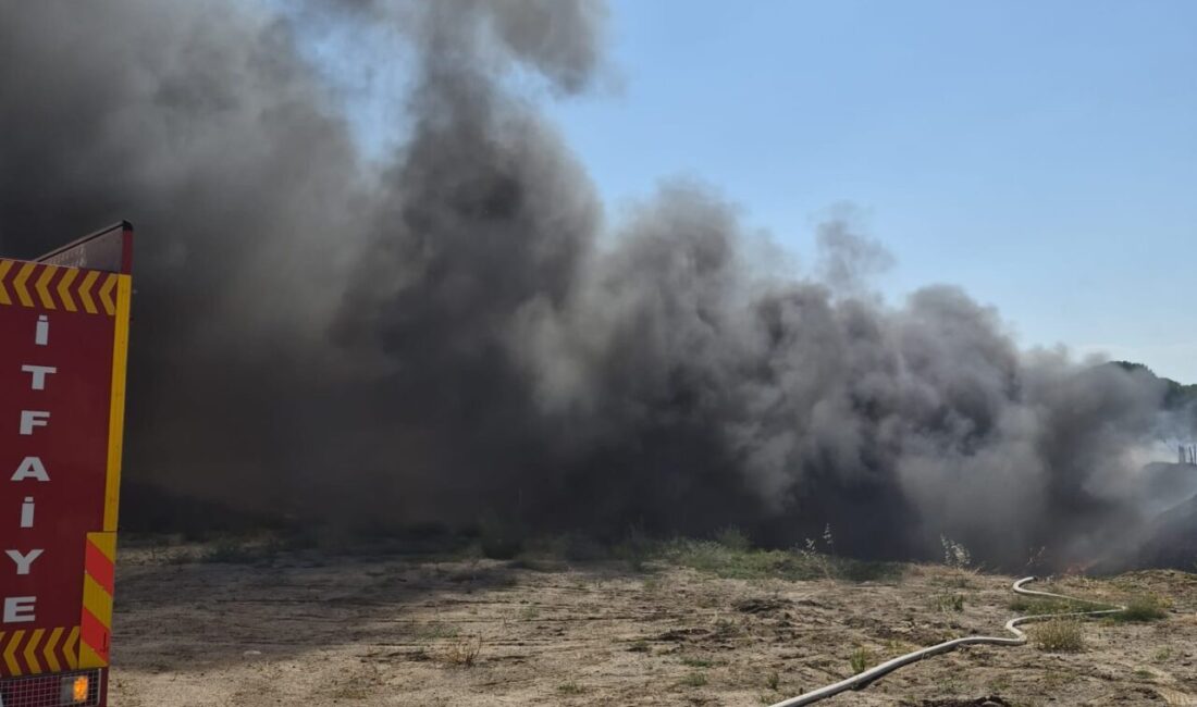BALIKESİR (AA) – Balıkesir'in 6 ilçesinde 7 ayrı arazide çıkan