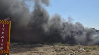 BALIKESİR (AA) – Balıkesir'in 6 ilçesinde 7 ayrı arazide çıkan