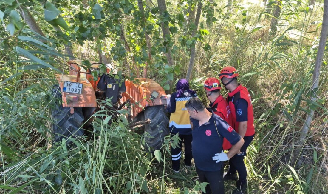 BALIKESİR (AA) – Balıkesir'in Savaştepe ilçesinde yol kenarındaki ağaçlara çarpan