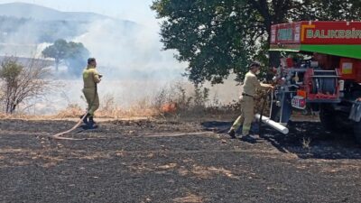 BALIKESİR (AA) – Balıkesir'in Savaştepe ilçesinde tarım arazilerinde çıkan iki