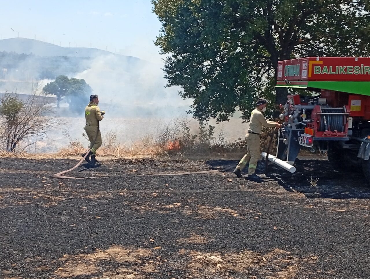 BALIKESİR (AA) – Balıkesir'in Savaştepe ilçesinde tarım arazilerinde çıkan iki