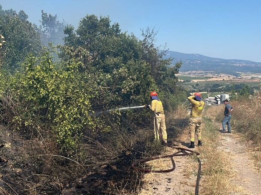 BALIKESİR (AA) – Balıkesir'in Susurluk, Altıeylül ve Dursunbey ilçelerinde çıkan