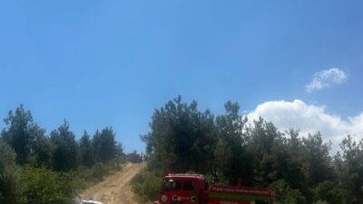 BİLECİK (AA) – Bilecik'in Osmaneli ilçesinde çıkan orman yangını havadan
