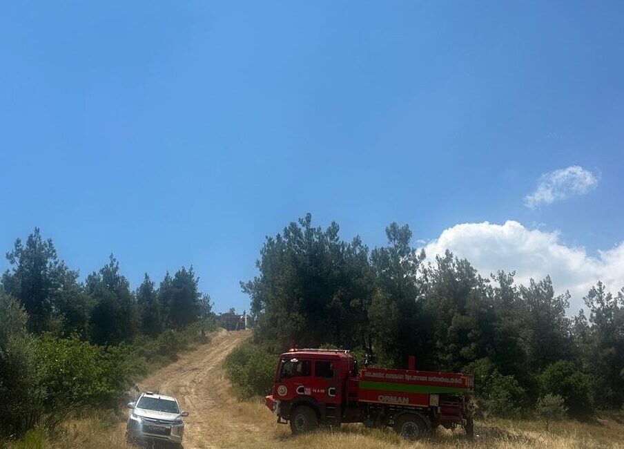 BİLECİK (AA) – Bilecik'in Osmaneli ilçesinde çıkan orman yangını havadan