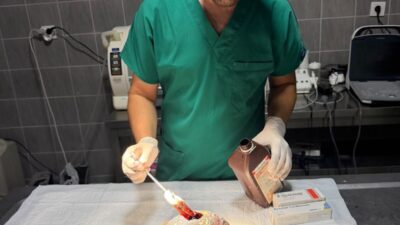 BİLECİK (AA) – Bilecik'in Osmaneli ilçesinde zeytinlik alanda çıkan yangında